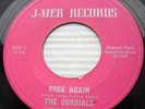 CORDIALS rare 60's Garage Rock 45 Free Again / Good Morning Starshine w1705 HEAR