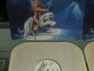 IVORY TIGER METAL MOUNTAIN VINYL RECORDS  AUTOGRAPHED