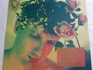 Animals that Swim - Workshy   UK VINYL LP