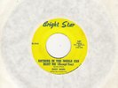 RICKY ALLEN   NOTHING IN THE WORLD CAN HURT ME    US BRIGHT STAR   NORTHERN SOUL