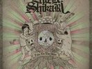 Take To The Skies - ENTER SHIKARI [2x LP]