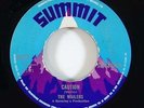 Wailers 