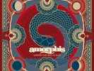 AMORPHIS - Under the Red Cloud  DLP  CLEAR