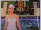 Stone Temple Pilots Tiny Music LP Vinyl Record Import Grunge Pearl Jam Nirvana