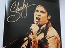 Shakin' Stevens - The Epic years     RARE GATEFOLD DOUBLE VINYL LP