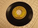 SUN 242 ROY ORBISON  OOBY DOOBY/GO GO GO