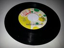 IRON SIDE/ROCK FORT ROCK - THE NEW ESTABLISHMENT [REGGAE INST.]  7