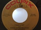 Soul Doo Wop R&B 45 Ronnie and The Relatives I Want A Boy Colpix Ronettes HEAR