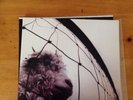 Pearl Jam Vs. Original US Pressing Vinyl LP