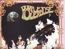 LP - PURPLE OVERDOSE - REBORN / LIMITED 300 / PSYCHEDELIC DOUBLE LP
