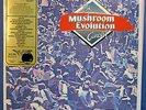 MUSHROOM EVOLUTION CONCERT-Australia 3/LPs Chain, Madder Lake, Paul Kelly etc