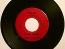 Twentieth Century Zoo: You Don't Remember/Clean... EX garage punk fuzz rare '67