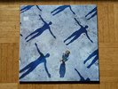 MUSE Absolution 2003 Vinyl 2 LP guter Zustand