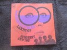 Rare Psych Freakbeatk Single  German PS: Les Irresistibles French Band 1st 1968