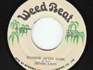 Devon Lyon - Shadow After Dark - ROOTS MISSILE