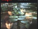 THE STRANGLERS Golden Brown PICTURE SLEEVE 7