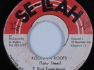 Reggae 45 T BIRD EXPERIENCE Roots In Roots SSE-LLAH HEAR