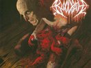 BLOODBATH - Nightmares Made Flesh (Re-release) - Vinyl-LP - black Vinyl