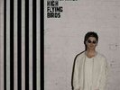 Chasing Yesterday - Gallagher,Noel ( High Flying Birds ) LP