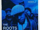 Roots 