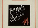 Pop Muzik - Double Grooved M 12