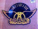 Aerosmith - Janie's Got A Gun 7