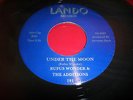 RUFUS WONDER + Additions - UNDER THE MOON - LANDO