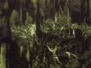Anthems To The Welkin At Dusk [VINYL] Emperor Vinyl