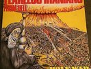Fearless Iranians From Hell - Holy War lp 1988 Boner punk hardcore tx mdc d.r.i.