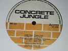 CONCRETE JUNGLE UK DUB LP (RILEY PRODUCED KING TUBBYS 1976) LISTEN ?