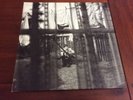 Paul McCartney - Chaos and Creation in the backyard LP (vinyl)