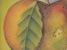CATAPILLA - LP -  Rare Prog/Psych