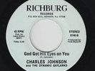 Sweet Soul Gospel 45 - Charles Johnson & Dynamic Gaylarks - Richburg - VG++ mp3