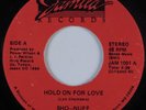 Modern Soul Boogie 45 SHO-NUFF Hold On For Love JAMILA HEAR
