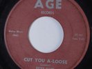R&B Mod Soul 45 RICKY ALLEN Cut You A-Loose AGE HEAR