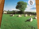 KLF Chill Out LP Album Bill Drummond
