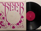 SILENT CHEER Learning Insipid Zeal '69 RARE private garage fuzz ACID ARCHIVES