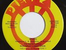 RON WRAY LIGHT SHOW Speed 45 on Piece Rare NY Psych Fuzz Garage
