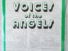 Voices of Angels LA Punk Spoken Word & Music 2 LP Set 1982 Kim Fowley Geza X