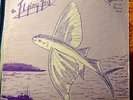 THE FLYING FISH record-o-rama PRIVATE FOLK LP psych outside 70s