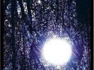 Luminous Night - SIX ORGANS OF ADMITTANCE [LP]