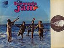 THE BERMUDA JAM the bermuda jam DY 31907 usa dynovoice 1969 LP PS EX/VG+