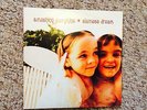 The Smashing Pumpkins - Siamese Dream 12