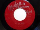 CADETS 45 It it is wrong / Do you wanna rock MODERN R&B bb3031