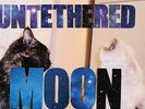 Built to Spill - Untethered Moon