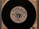 PLANET LABEL Perpetual Langley Surrender 7