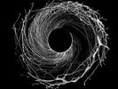 Dawn Of Midi - Dysnomia [Vinyl New]