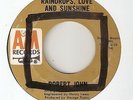 ROBERT JOHN Raindrops Love And Sunshine A&M NORTHERN SOUL 45