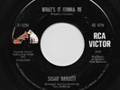 Northern Soul 45 SUSAN BARRETT What's It Gonna Be/It's No Secret RCA Stock HEAR
