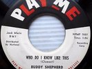 BUDDY SHEPHERD Who Do I Know Like This Treasure Of Your Love ROCKABILLY 45 e1568